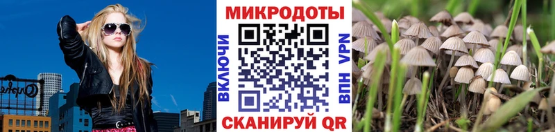 Купить закладки  Михайлов  Псилоцибиновые грибы GOLDEN TEACHER 